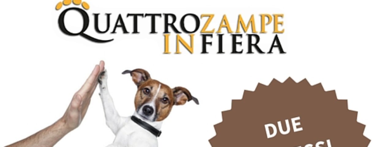 DD4ZAMPE1